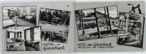 Metelen Hotel am Gauxbach Vogelpark