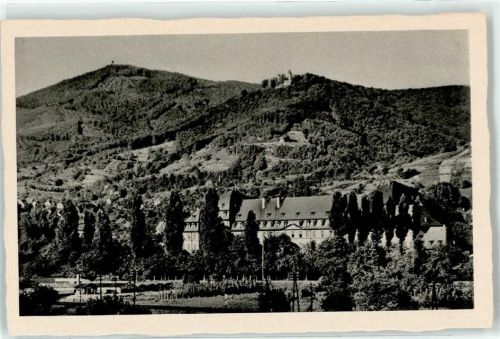 Auerbach Schloss Melibokus