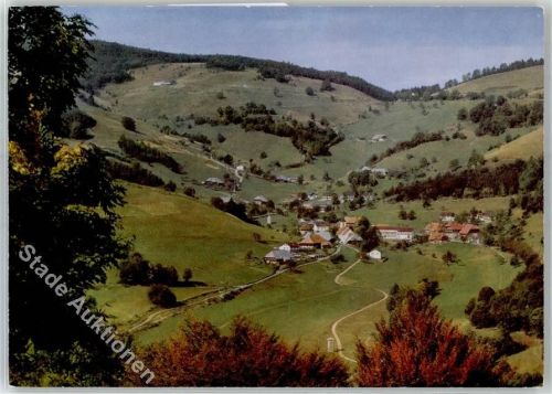 Wieden Hotel Zum Hirschen M.Steifvater AKU1
