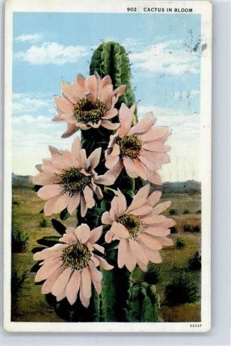 mit Blüte