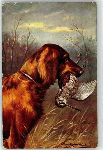 Jagdhund Vogel
