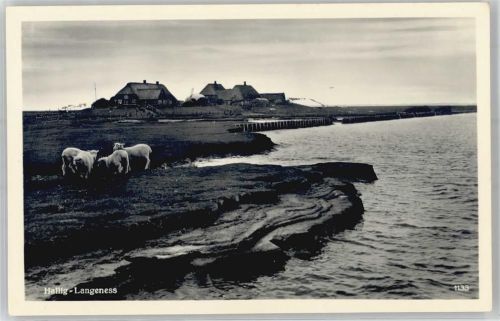 Langeneß