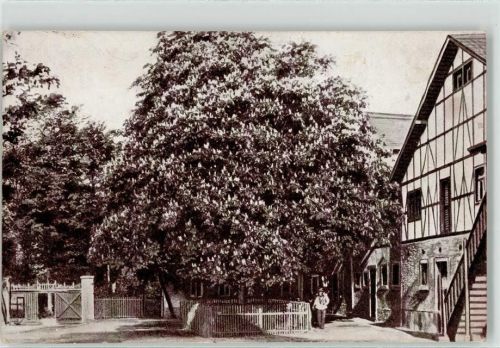 Bad Lausigk Haus und landwirtschaftliche Frauenschule Gutshof Arvedshof