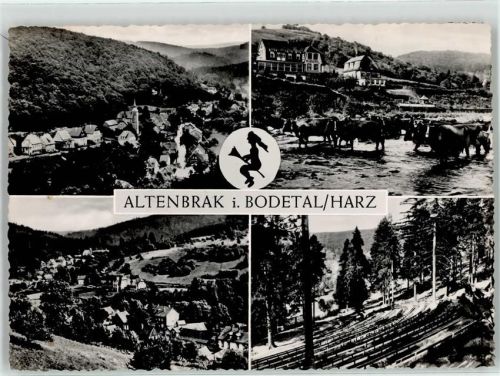 Altenbrak