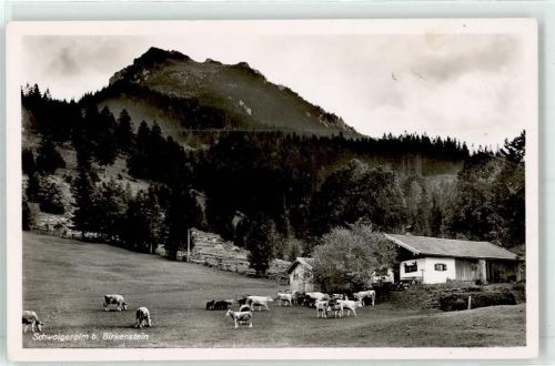 Birkenstein Schwaigeralm
