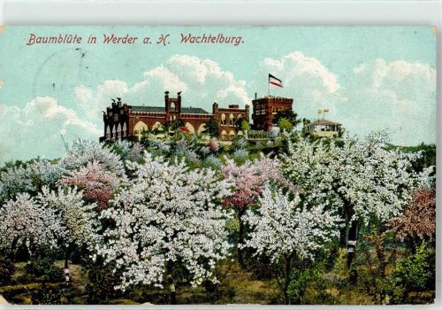 Werder 1908 Baumblüte die Wachtelburg