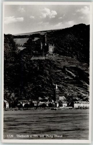 Wellmich Burg Maus