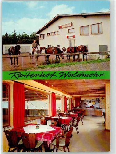 Waldmohr Reiterhof Familie Hammer