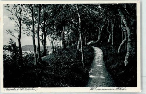 Glücksburg Waldpartie Föhrde