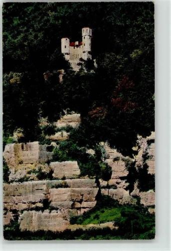 Neckarsteinach Burg Schadeck Schwalbennest