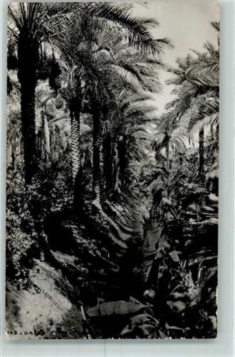Basra Palmengarten