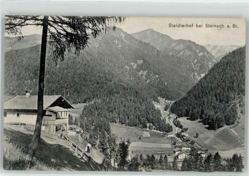 Steinach Steidlerhof