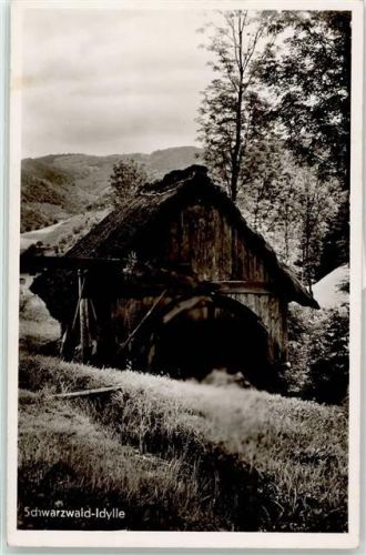Schwarzwaldmühle Foto AK