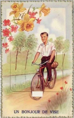 Visè Weset (Belgien) Leporello Fahrrad, Blumen I-II