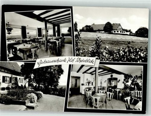 Geisenheim Gutsausschank Hof Rheinblick Gasthaus Gastraum
