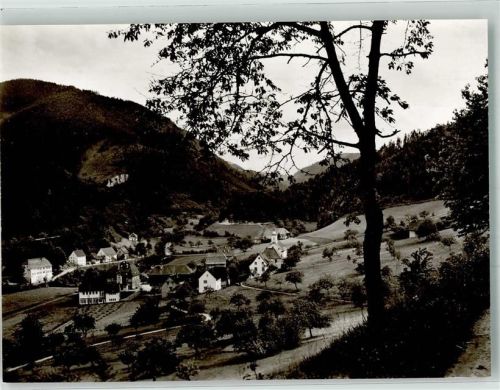 Niederwasser
