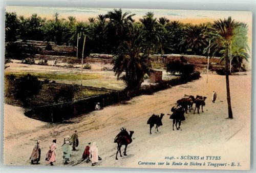 Biskra Caravane sur la Route de Briska a Touggourt Kamel Volkstypen