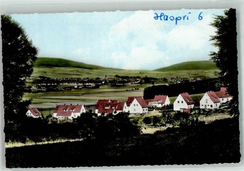 Hamelspringe