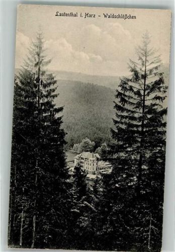 Lautenthal Waldschlösschen Verlag Vopelius No. 51
