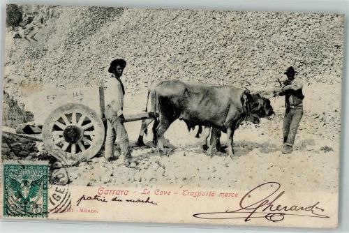 Carrara 1903 Le Cave Trasporto merce Marmortransport Ochsen