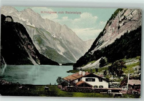 Königssee Saletalpe Berge Kühe Stempel St. Bartholomä 1912
