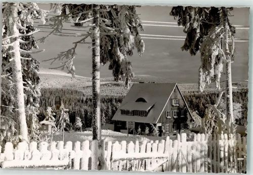 Torfhaus Foto Original aus Archiv eines Ansichtskartenverlages