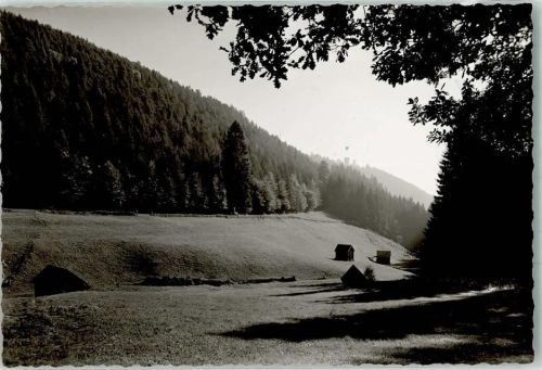 Zavelstein Rötenbachtal Ruine Foto Original aus Archiv eines Ansichtskartenverlags