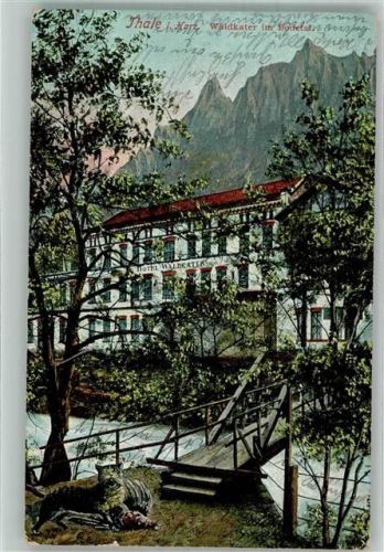 Thale Hotel Waldkater