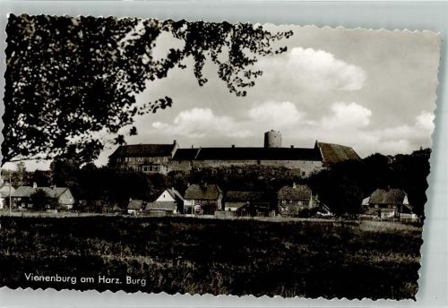 Vienenburg Burg Vienenburg