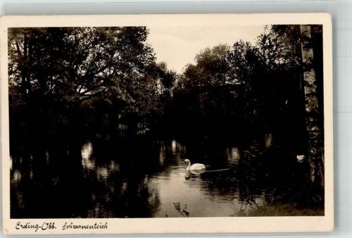 Erding Schwanenteich