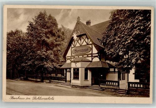 Wolfenbüttel 1931 Gasthaus Sternhaus Lechlumerholz