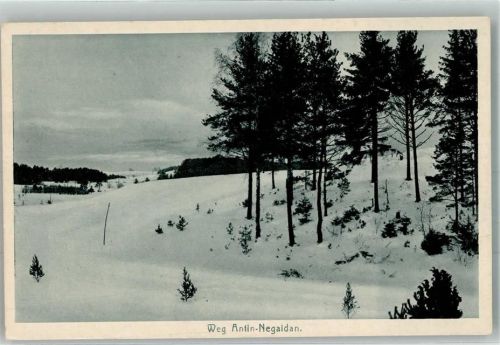 Libau Weg Antin-Neaidan Winter Ort lt. Fotograf Kurland Ort lt. Recherche