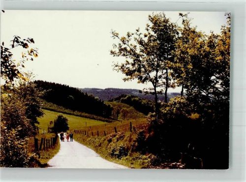 Meinerzhagen Wanderweg zur Skisprungschanze Foto Original aus Archiv eines Ansichtskartenverlages Ort handschriftlich