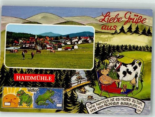 Haidmühle 1988 Frosch Kuh Humor