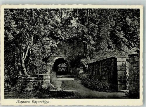 Coppenbrügge Burgruine