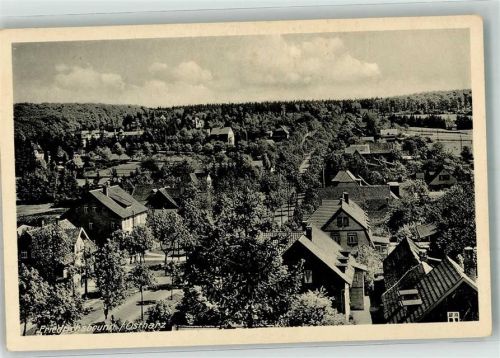Friedrichsbrunn 1926 Panorama des Ortes