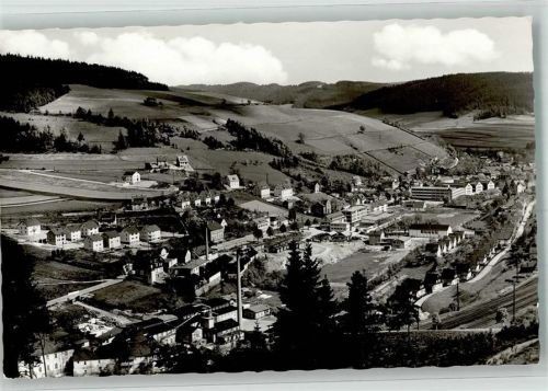Ludwigsstadt Panorama des Ortes