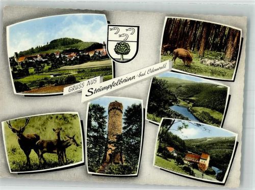 Strümpfelbrunn Panorama des Ortes mit Kirche St. Maria Turm Katzenbuckel Wildschweine Rehwild Wassermühle im oberen Höllgrund
