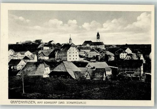 Grafenhausen Panorama des Ortes mit Rathaus und Pfarrkirche St. Fides
