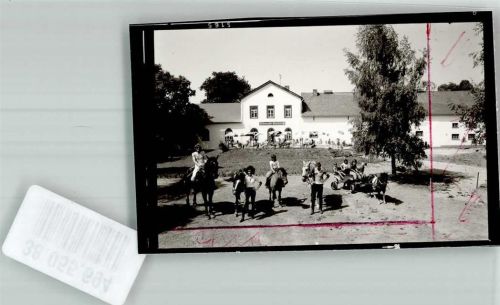 Seeburg Dreifelder See Pferde Striche auf der Bildseite Ort handschriftlich Foto Original aus Archiv eines Ansichtskartenverlages