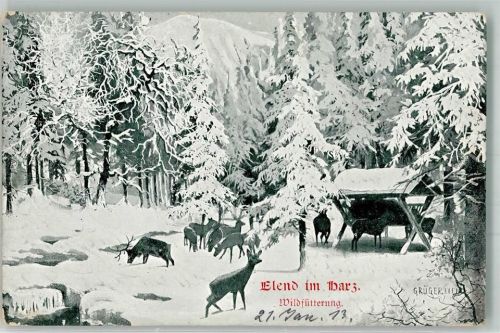 Elend 1913 sign. Grüger Wildfütterung im Winter