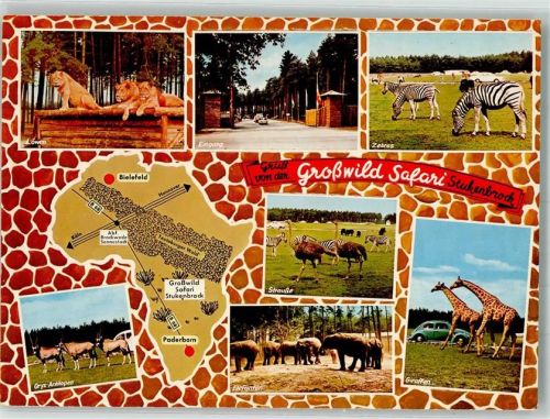 Stukenbrock Senne-Großwild-Safaripark Löwen Antilopen Elefanten Giraffen Strauße Zebras