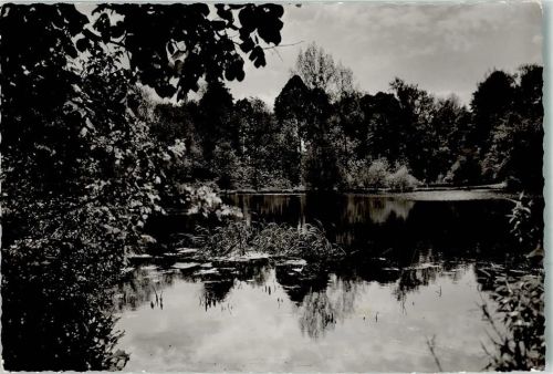 Liebenburg Foto Partie am Teich Original aus Archiv eines Ansichtskartenverlages