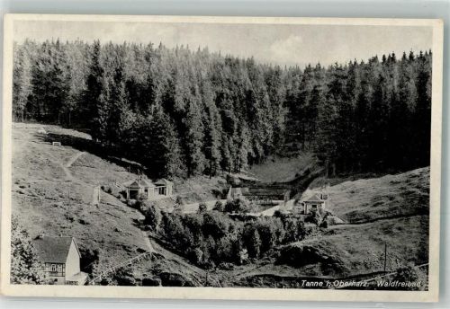 Tanne 1942 Schwimmbad