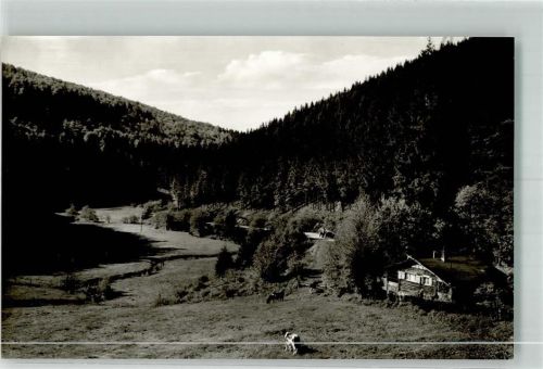 Willingen Hermeketal Kuh