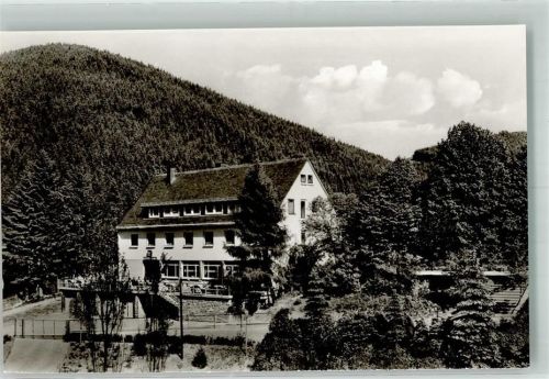 Willingen Hotel Willinger Hof