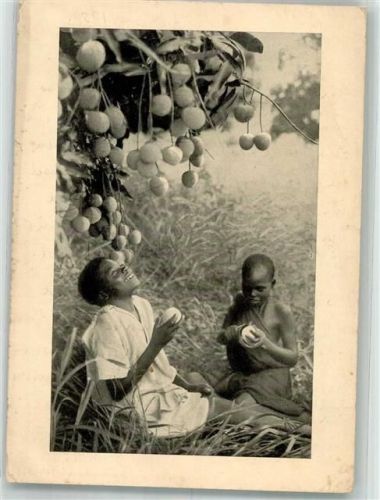 1950 Zwei Kinder unter einem Baum mit großen Früchten