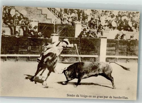 Torero Simao da Veiga zu Pferde in der Arena
