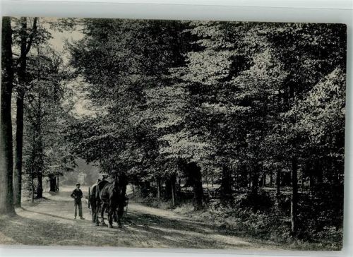 Tervuren Park