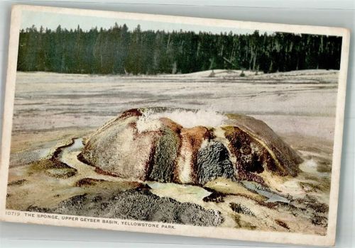 The Sponge Upper Geyser Basin im Yellowstone Park USA Angeln